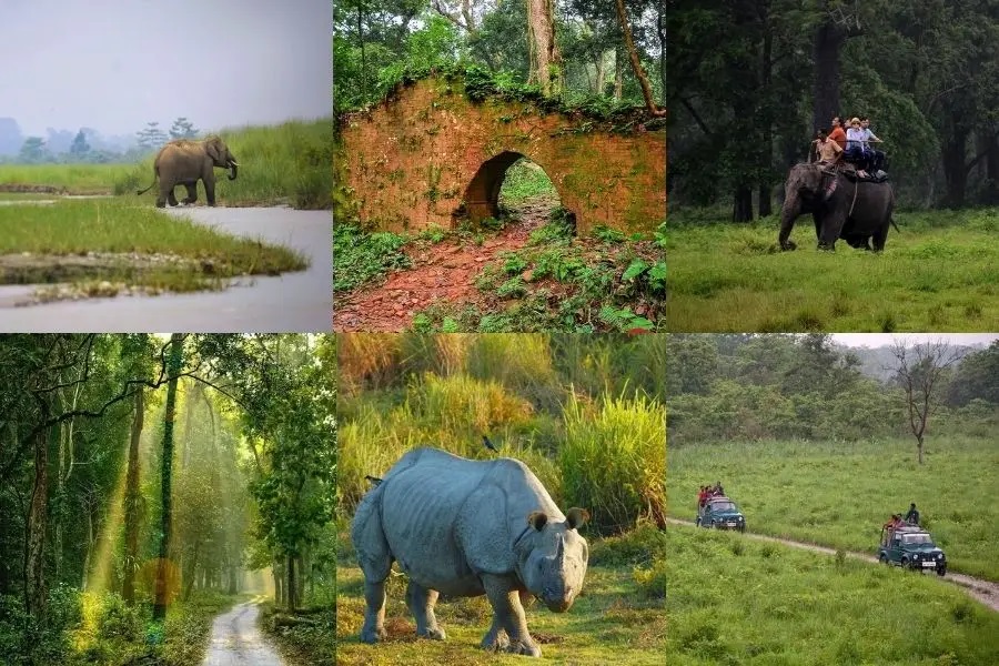 Tourist place in Dooars, West Bengal.