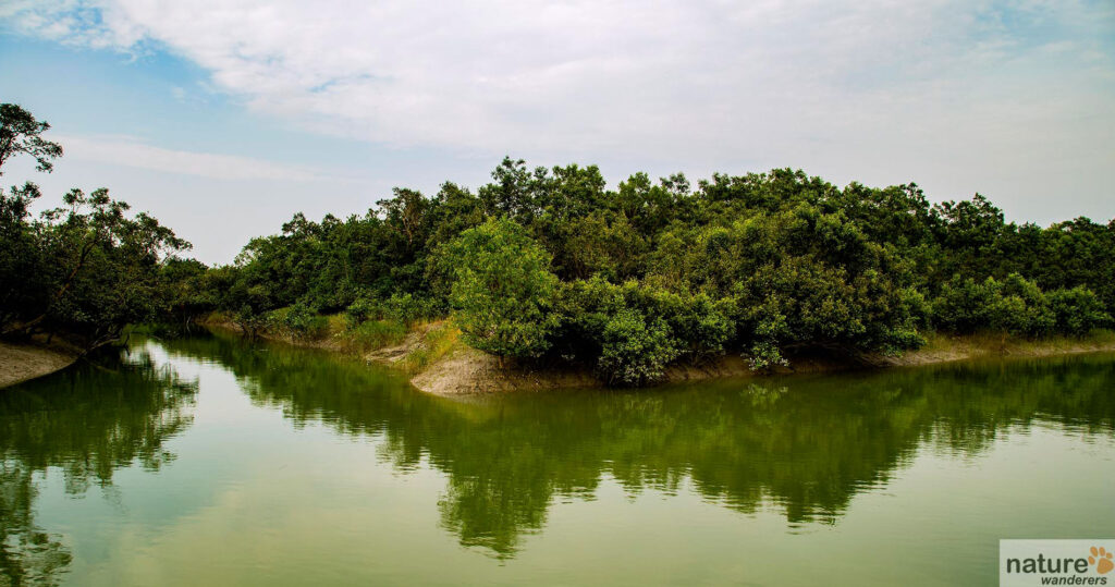 Tourist places in Sundarban, West Bengal.