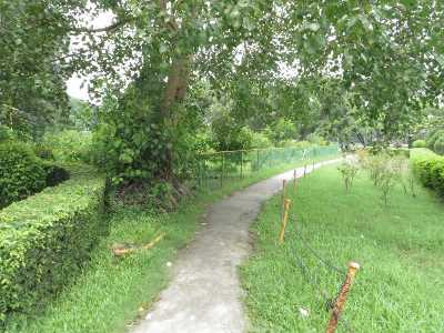 Picnic Spot in Babur Haat Near Kolkata.