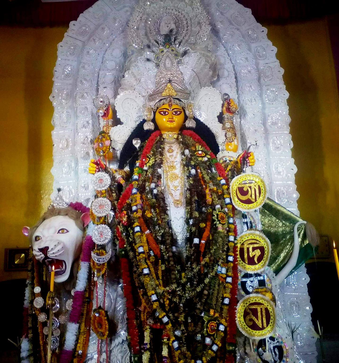 Chaulpatty Sarbojanin Jagadhatri puja