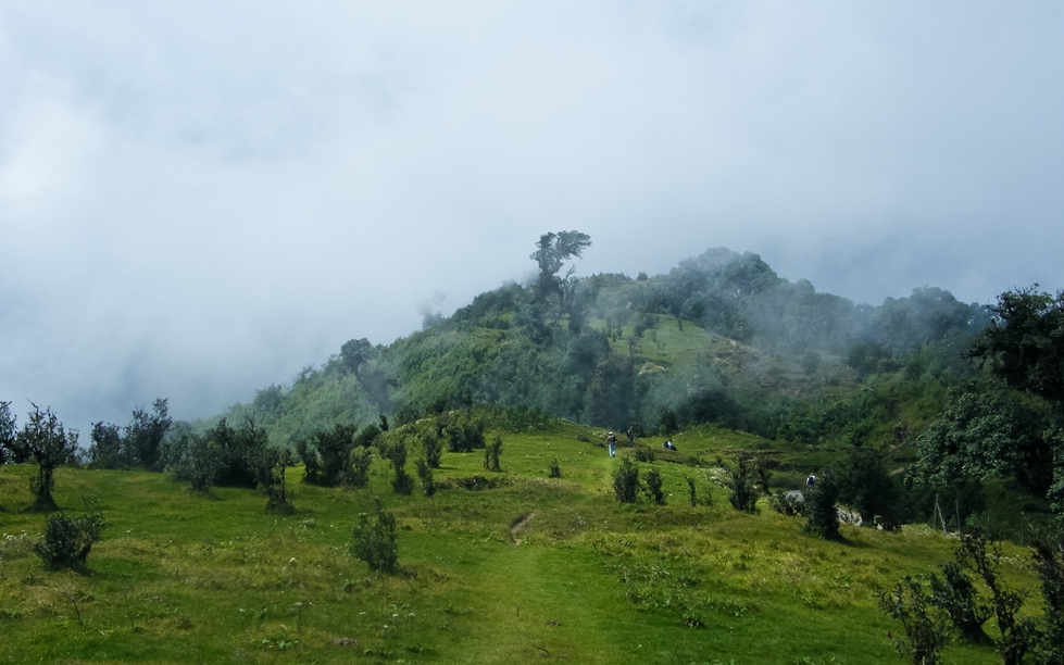 Singalila National Park best Places to visit Sikkim