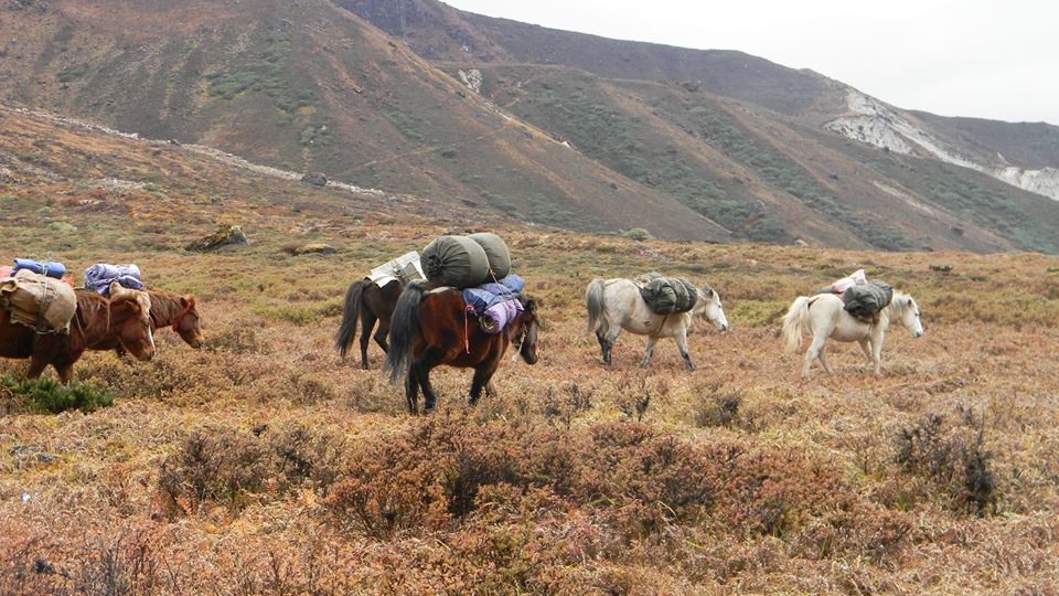 Goecha La Trek best Places to visit Sikkim