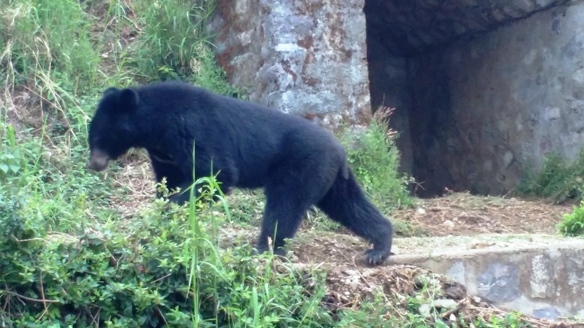 Nainital Zoo Tourist Places in Nainital