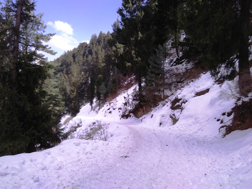 Kufri Tourist Places in Shimla