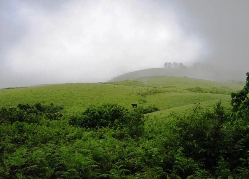 Vagamon Tourist Places in Idukki