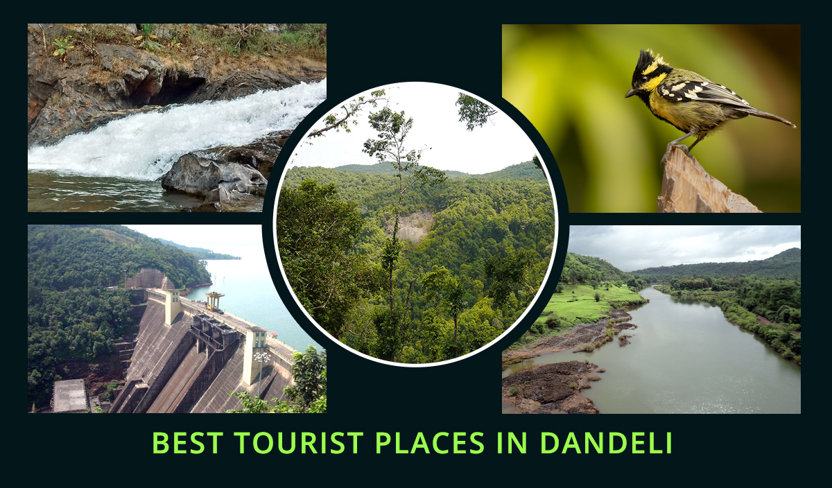 The Best Tourist Places in Dandeli in 2023: Exploring the Untamed Wilderness of Karnataka