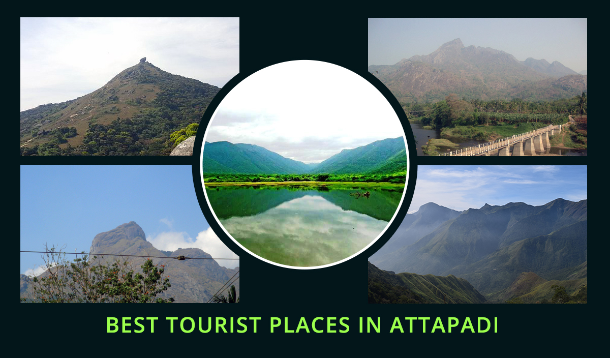 The Best 20 Tourist Places in Attapadi in 2023: A Journey Into Nature's Abode